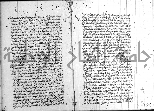 سيبويه 
