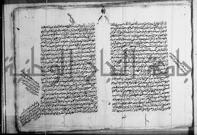 فقه - شرح البهجة الصغير