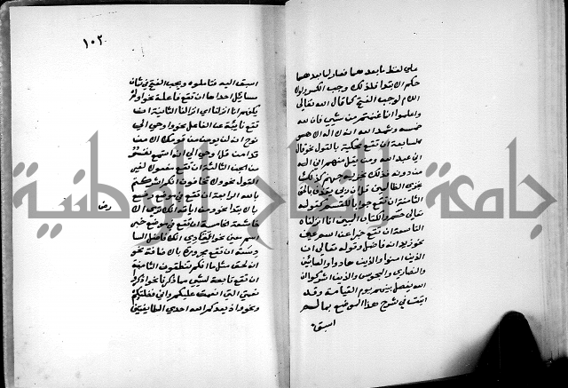 شرح شذور الذهب في معرفة كلام العرب 