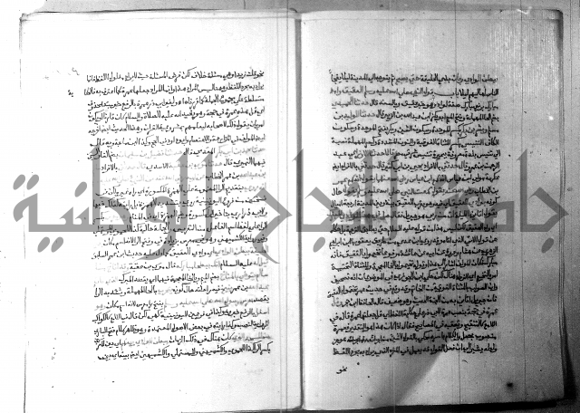 ارشاد الساري 3 