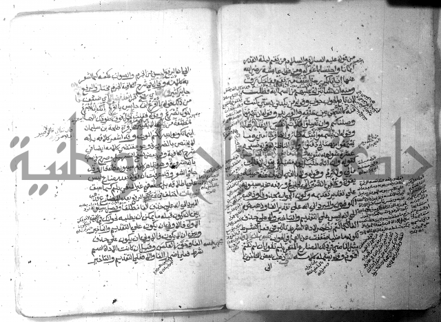 شرح الاشموني على الافية