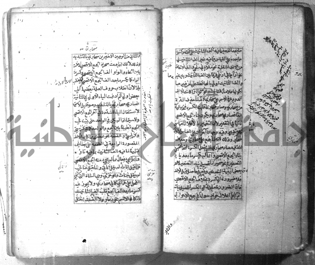 شرح الشافية 