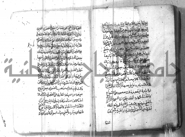 التفنن في الصرف