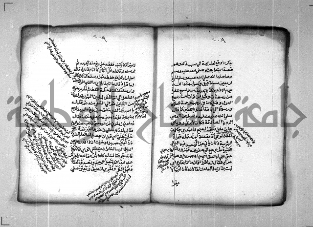شرح الهمزية  