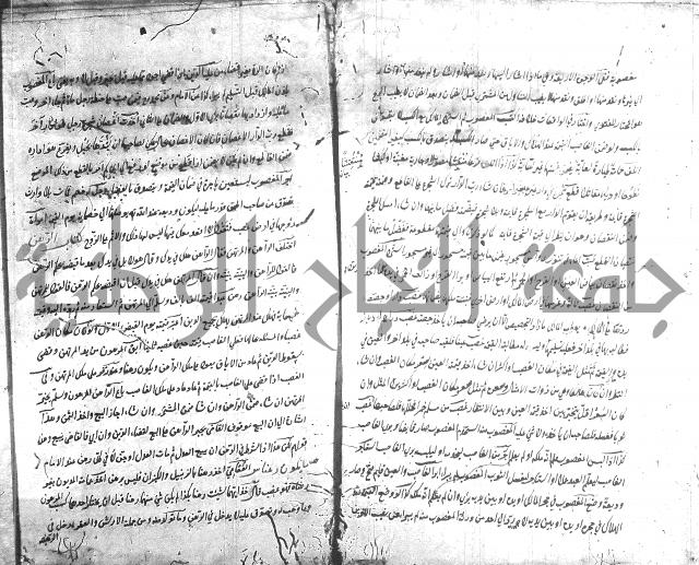 منية الفتى 