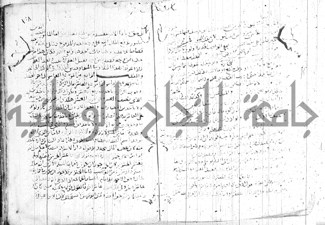 الفتاوى الولوالجية  