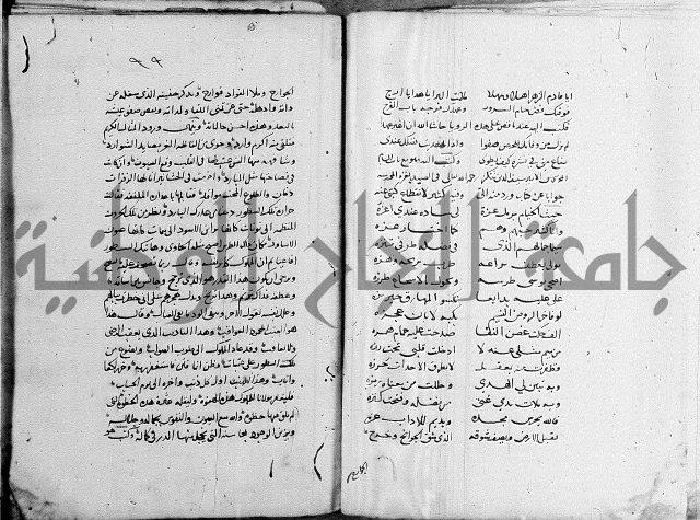 كتاب في الادب 
