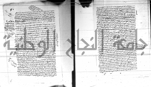 الفتاوى الحسينية