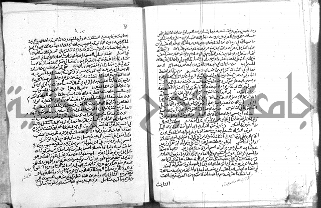 كتاب في اللغة العربية