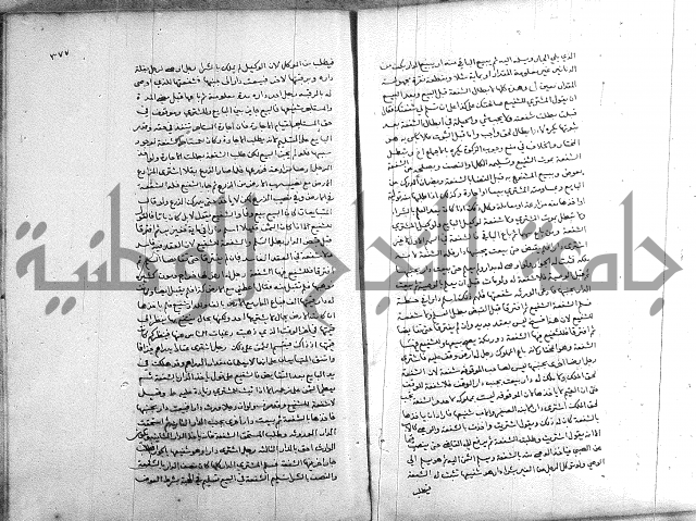 خزانة المفتين