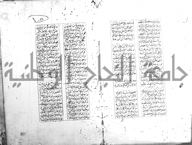 خلاصة التنوير 