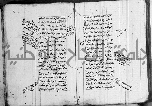 فوائد على الكافية 