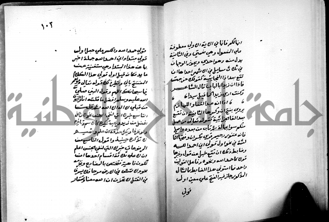 شرح شذور الذهب في معرفة كلام العرب 