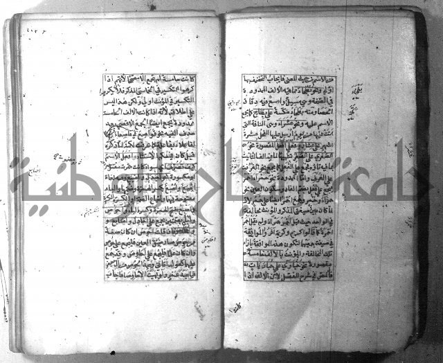 شرح الشافية 