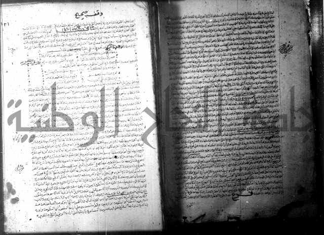 فيض الانهر على ملتقى الاكبر ج1  