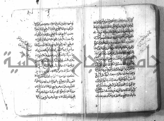 التفنن في الصرف