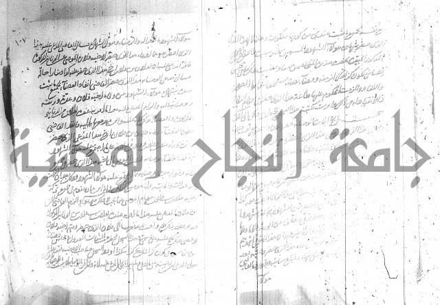 البسيط في الشروط