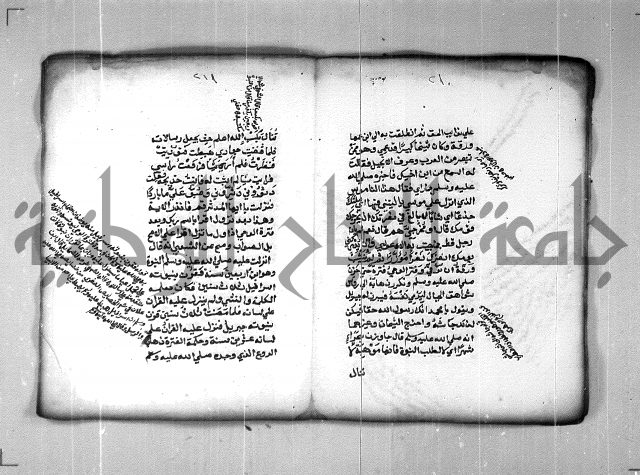 شرح الهمزية  