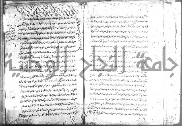 منية الفتى 