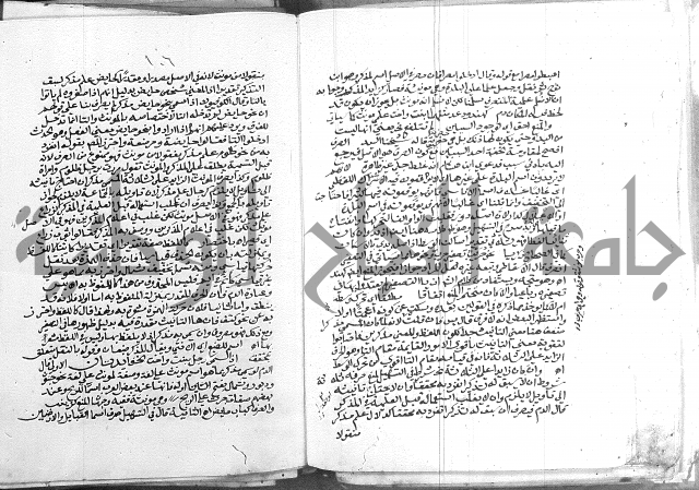 كتاب في اللغة العربية