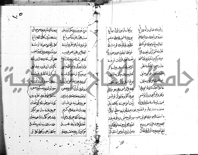 كتاب يوسف زليخا المؤلف 