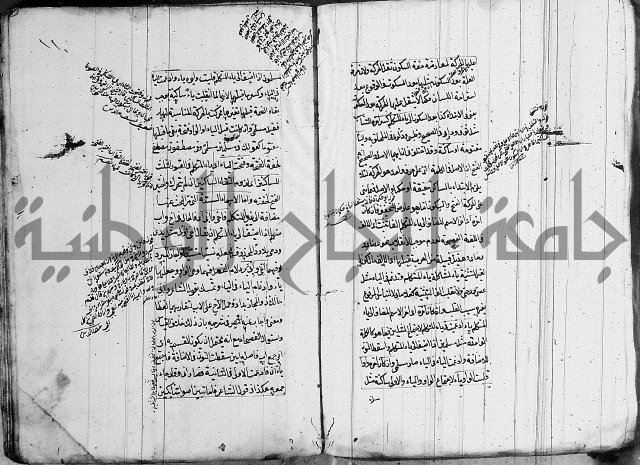 فوائد على الكافية 