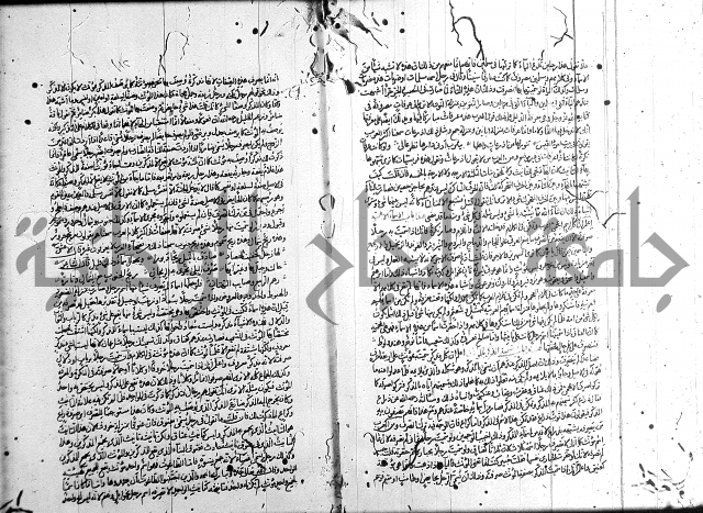 سيبويه 