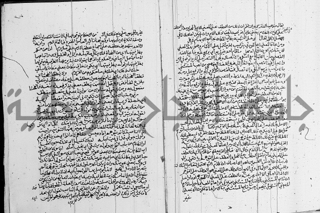 كتاب في اللغة