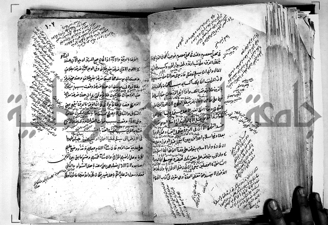 مذهب ابي حنيفة في الفقة