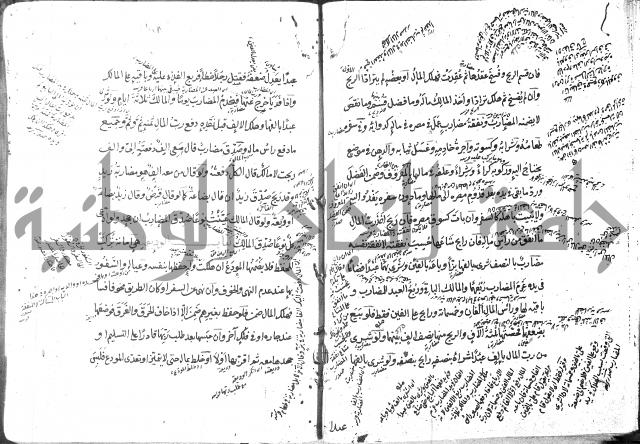 كتاب في الفقه