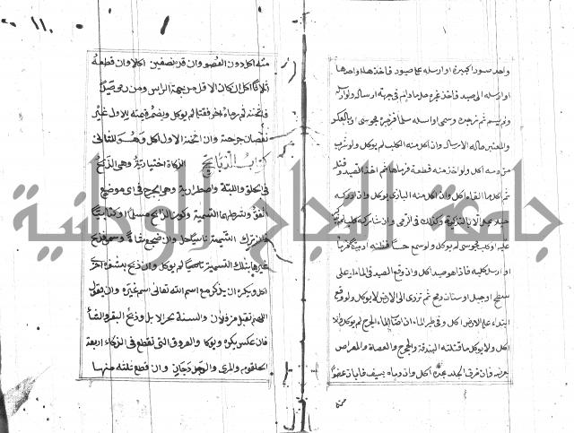 المختار للفتوى 