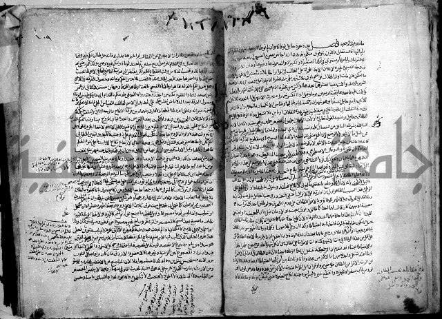 نهاية المحتاج الى شرح النهاج 2