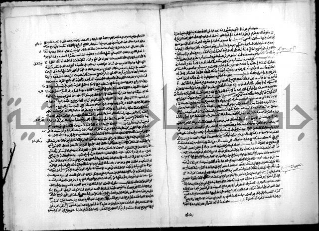 مجهول فقة 55