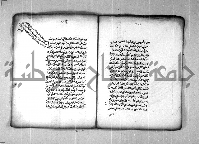 شرح الهمزية  
