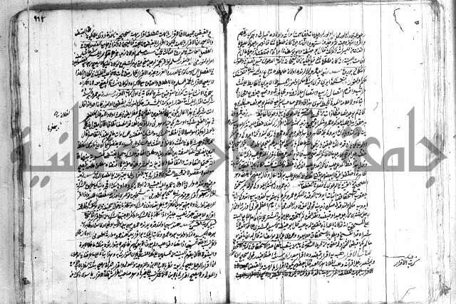 فتاوي تركية