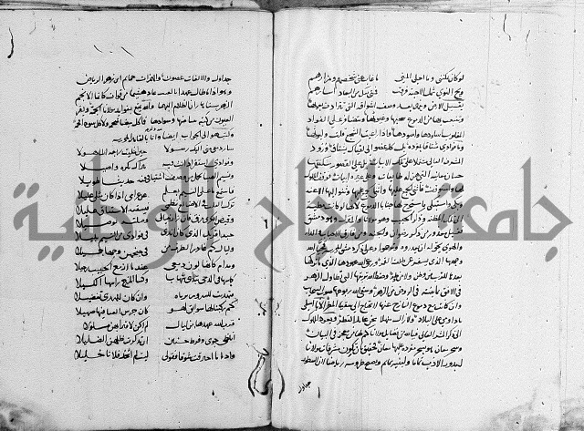 كتاب في الادب 