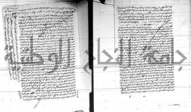 الفتاوى الحسينية