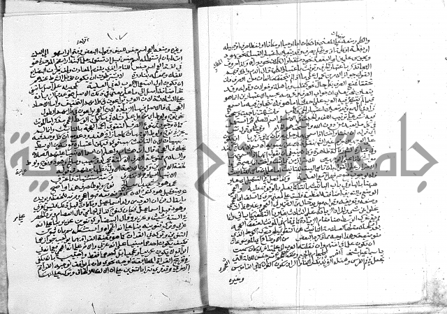 كتاب في اللغة العربية