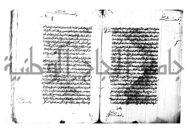 شرح شذور الذهب لابن هشام