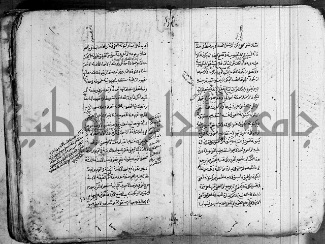 فوائد على الكافية 