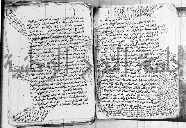 الزيادي على المنهج 