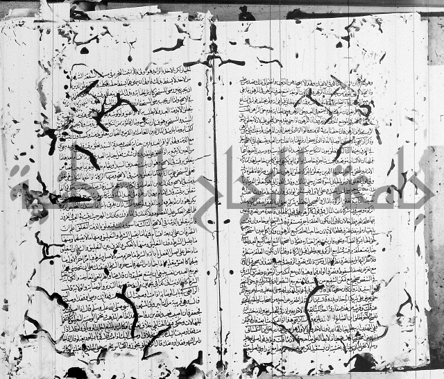 شافعي اصول فقه 