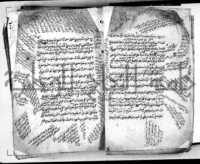 مذهب ابي حنيفة في الفقة