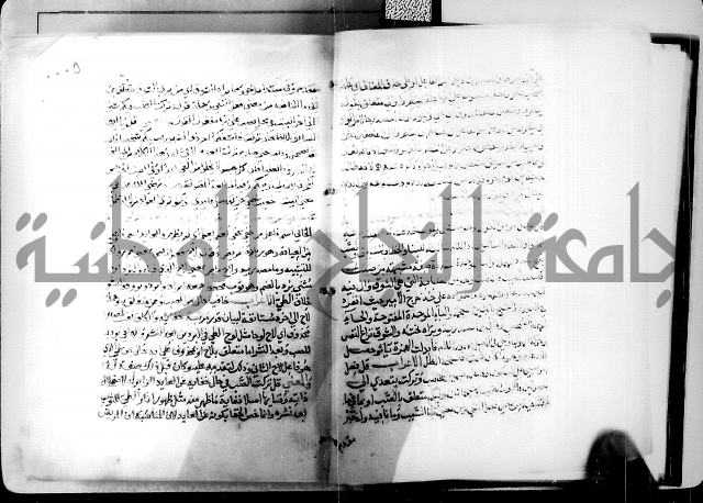 البحر الفائض في شرح ديوان ابن الفارض البوريني 