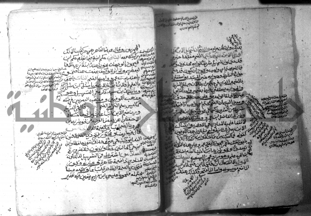 شرح الاشموني على الافية