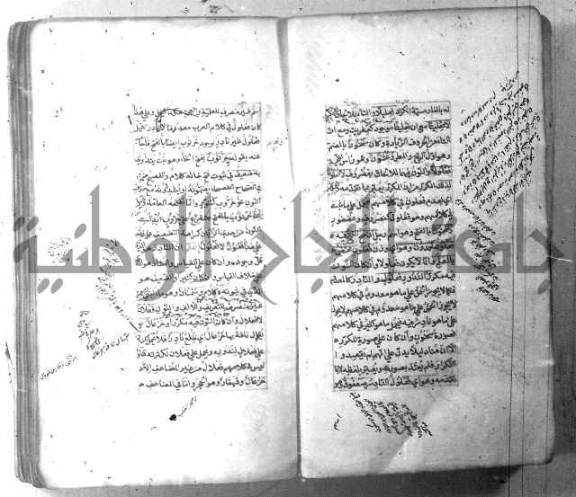 شرح الشافية 