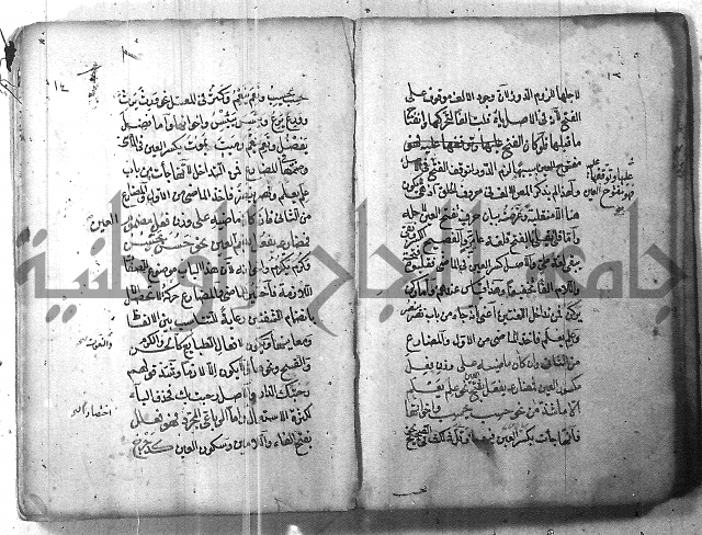 التفنن في الصرف