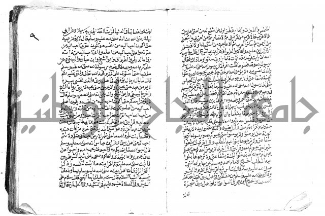 تحفة بن عبد مناف