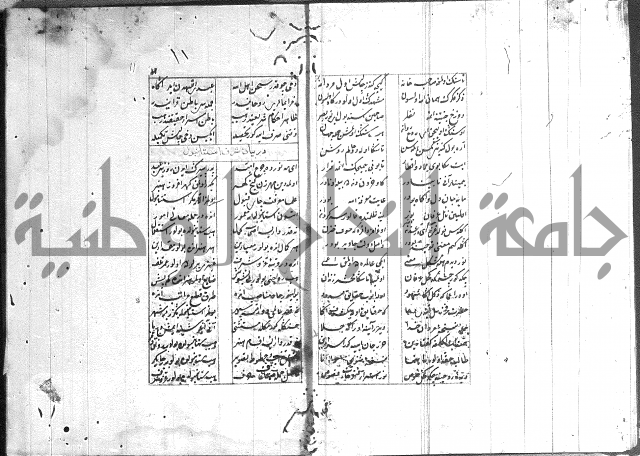 نظم تركي