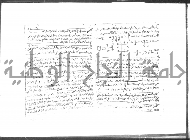 رسالة مشتملة على فوائد شتى كحيات الحيوان وغيرها 